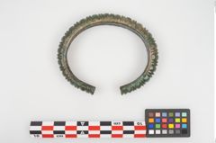 Foto von Bronzearmreif (NHMW-PRAE-025428)